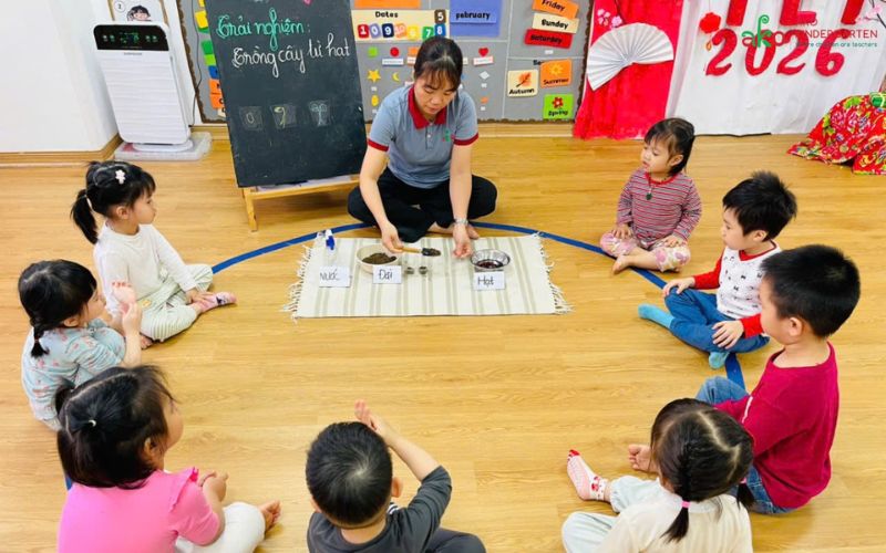 Hoạt động trải nghiệm: Bé lớp 2–3 tuổi tự tay trồng cây từ hạt