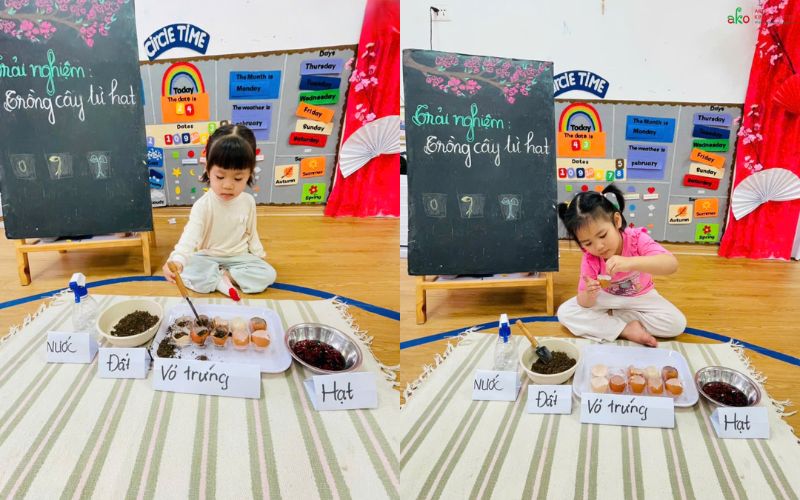 Hoạt động trải nghiệm: Bé lớp 2–3 tuổi tự tay trồng cây từ hạt